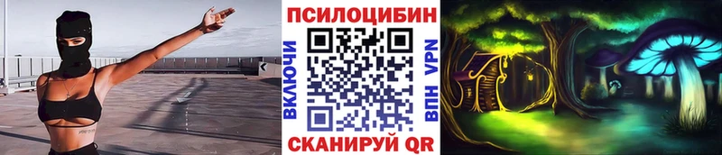 Псилоцибиновые грибы Psilocybine cubensis  цены   Чишмы 